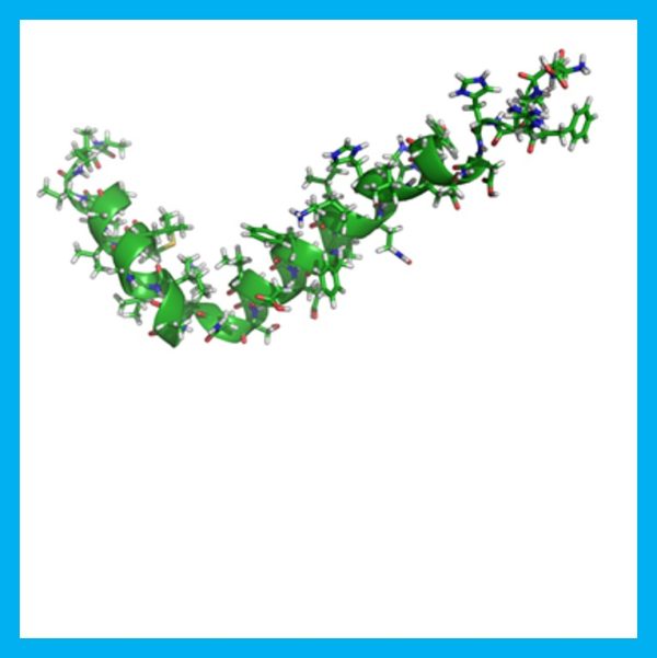 Amyloid β Peptide (1-42), Human